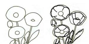 Как нарисовать цветы (уроки рисования цветов) Не раскрашенные цветы