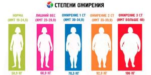 Что такое алиментарное ожирение: возможные причины заболевания и эффективные методы лечения Степени ожирения по индексу массы тела